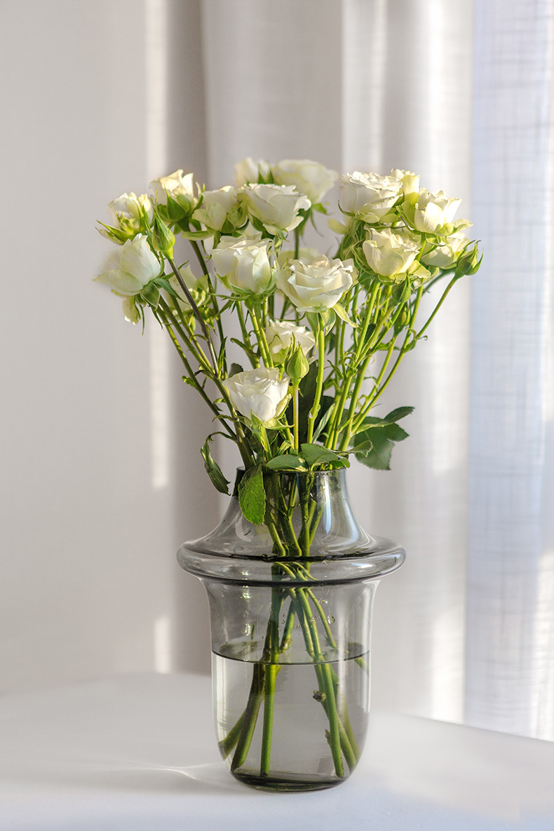 多头玫瑰鲜切花-白色